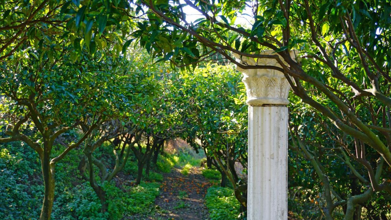 Tenuta Convivium Pozzuoli Kültér fotó
